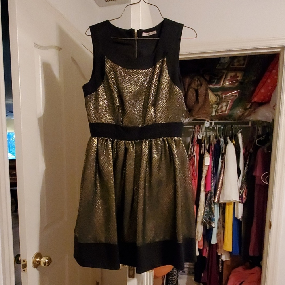 Gold and black dress